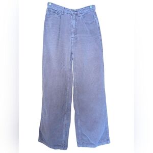 BDG Lavender Corduroy Pants
